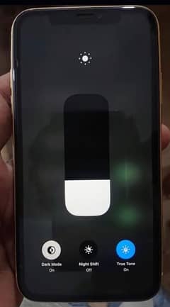 iPhone XR panel