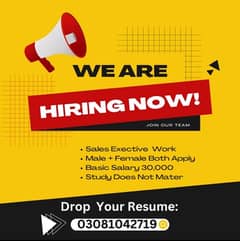 Urgent Hiring Sale Executive