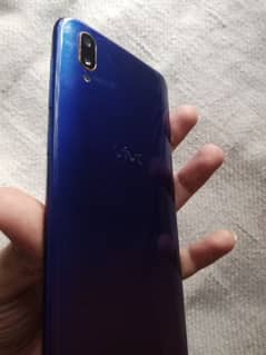 vivo