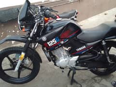 yahmha ybr g 125 new condtion