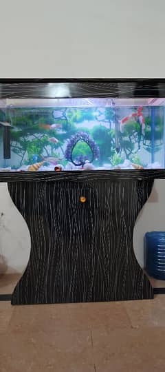 FISH AQUARIUM