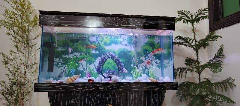 FISH AQUARIUM 1