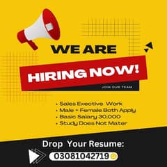 Urgently Hiring Sales Executive Person