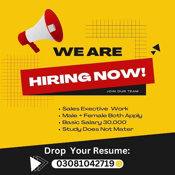 Urgently Hiring Sales Executive Person 0