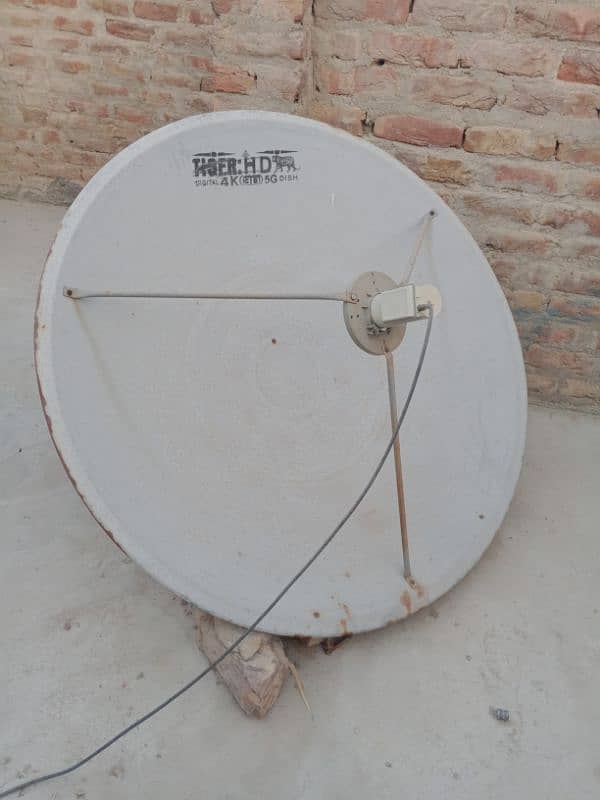 tv dish 1