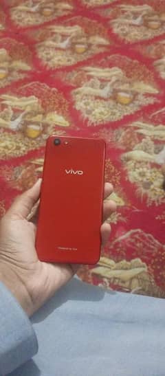 vivo