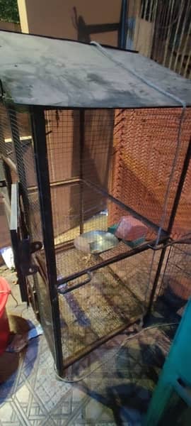 Bird Cage urgent sale! 1