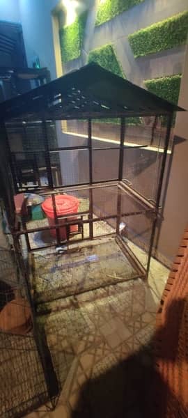 Bird Cage urgent sale! 2