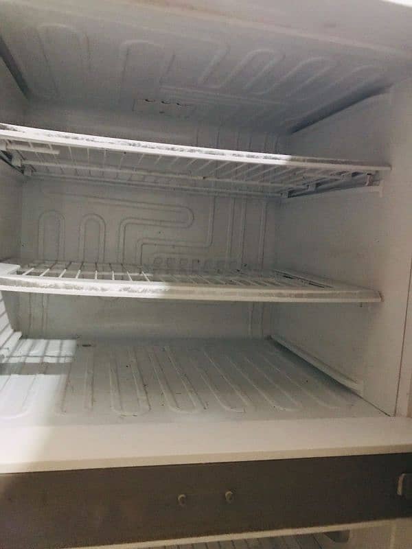 PEL LARGE FREEZER 1