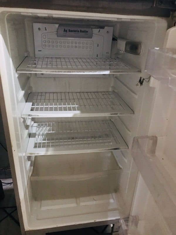 PEL LARGE FREEZER 3