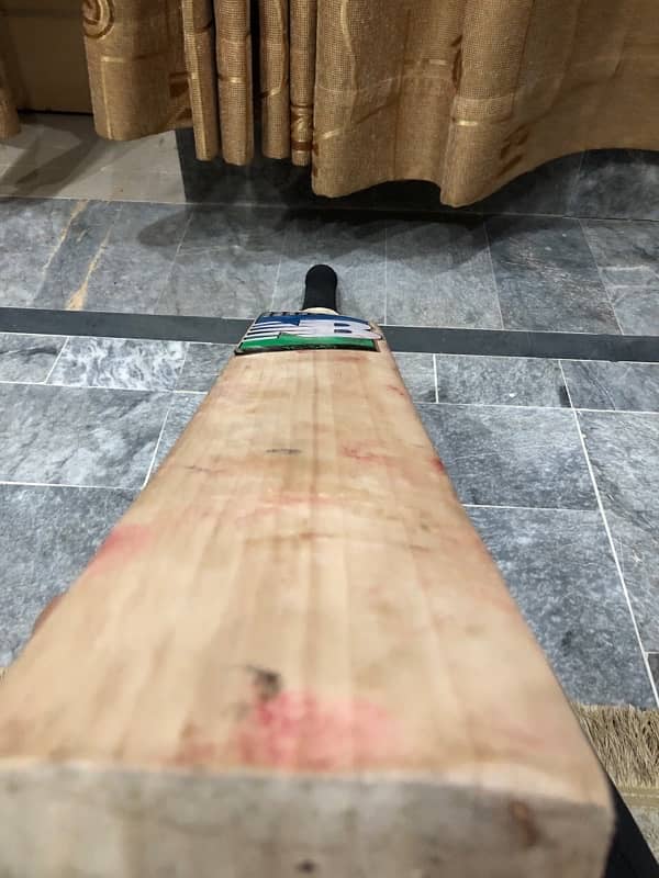 english willow har ball bat 6