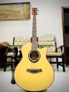 Professional Acoustic Guitar