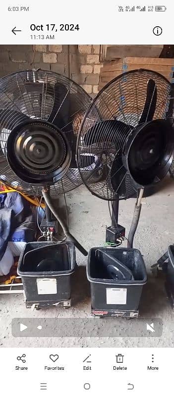 10 fan for sale 3