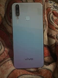 VIVO