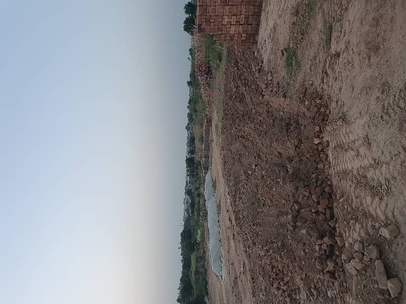 100 Kanal Agricultural Land For Sale Chakwal 7