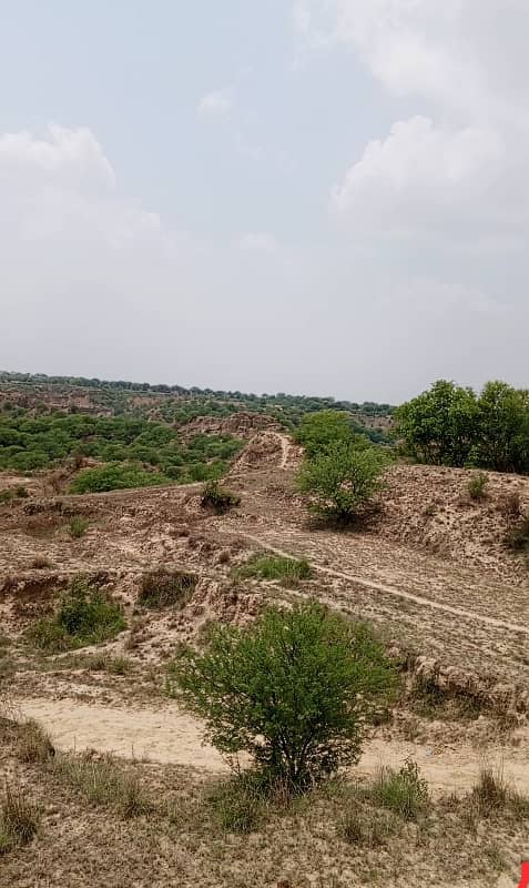 200 Kanal Agriculture Land For Sale In Jhulam Road District Chakwal 2