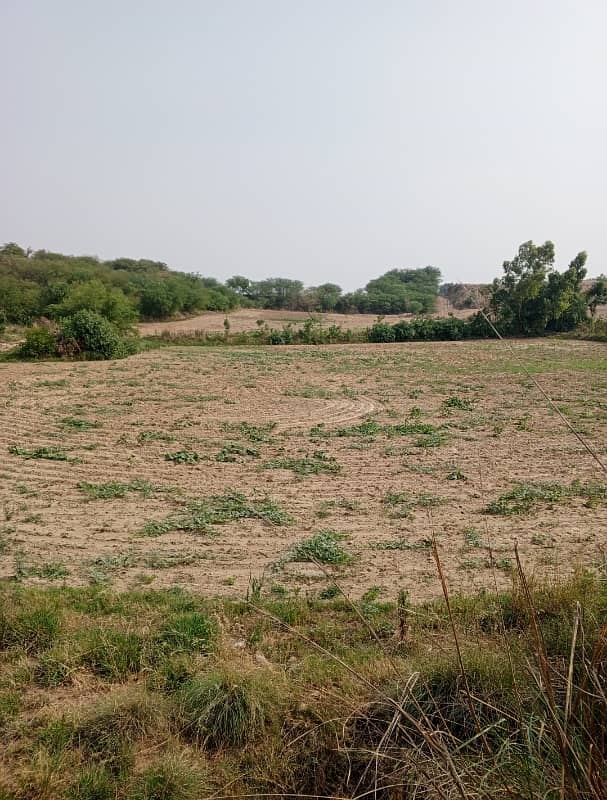 200 Kanal Agriculture Land For Sale In Jhulam Road District Chakwal 4