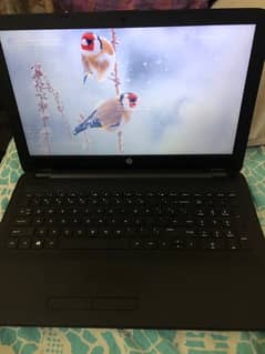 hp slim i3 4th gen laptop