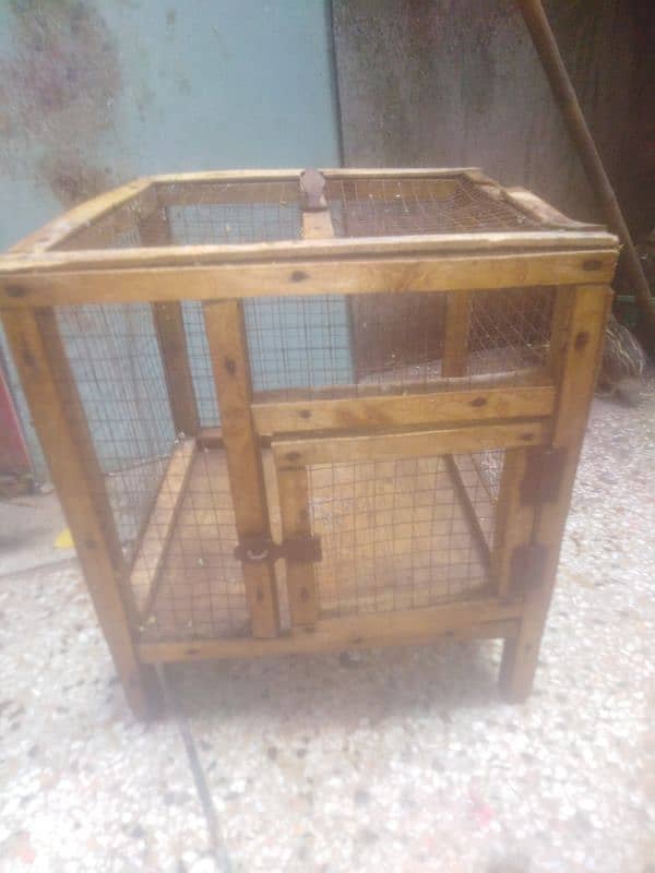 parrot and cage 6