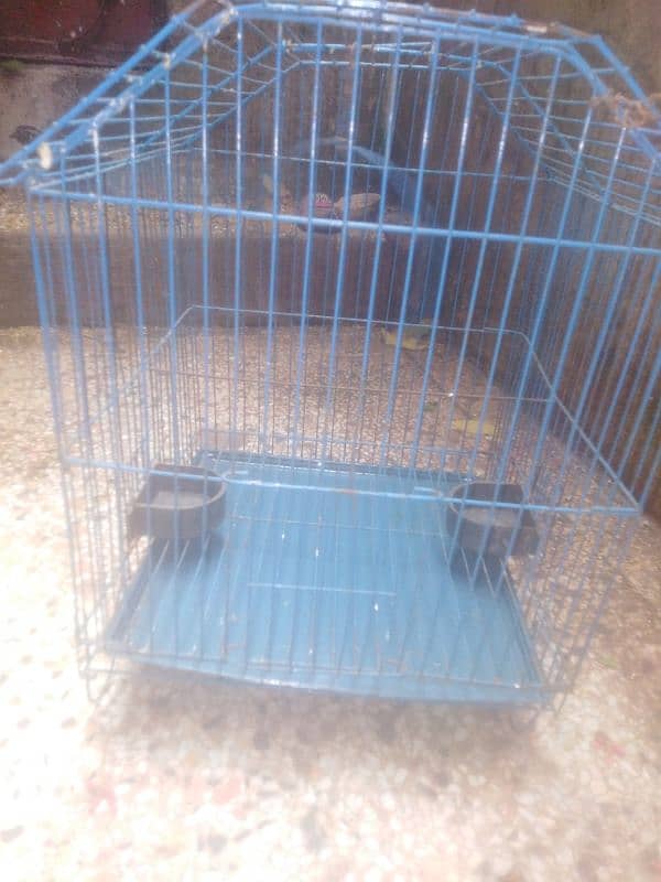 parrot and cage 7