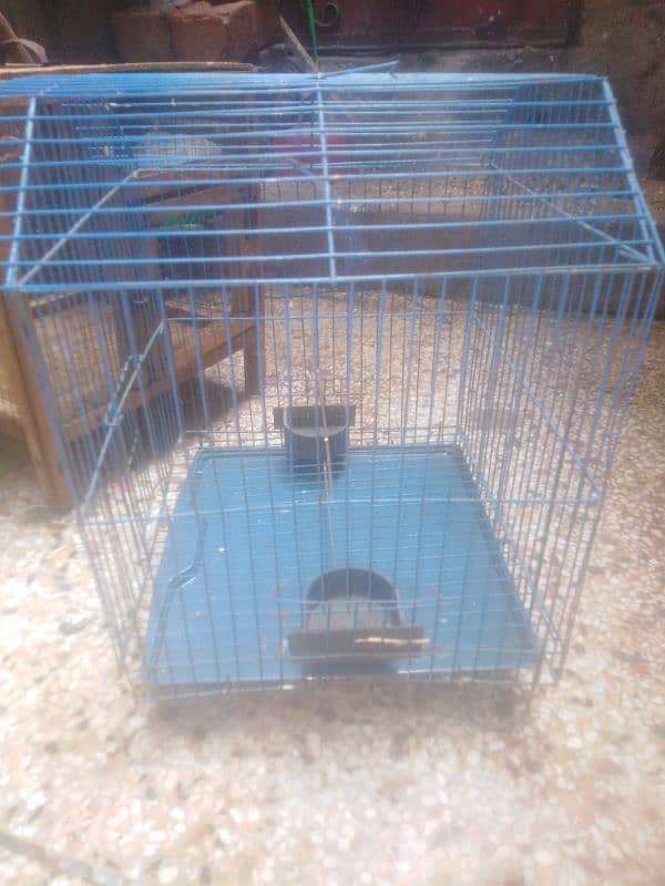 parrot and cage 10