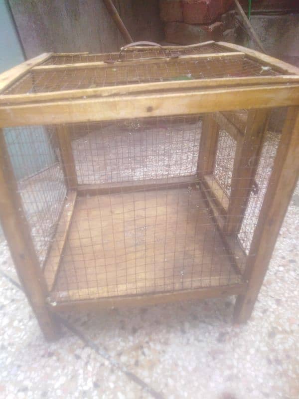 parrot and cage 15