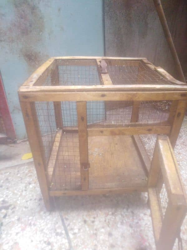 parrot and cage 17