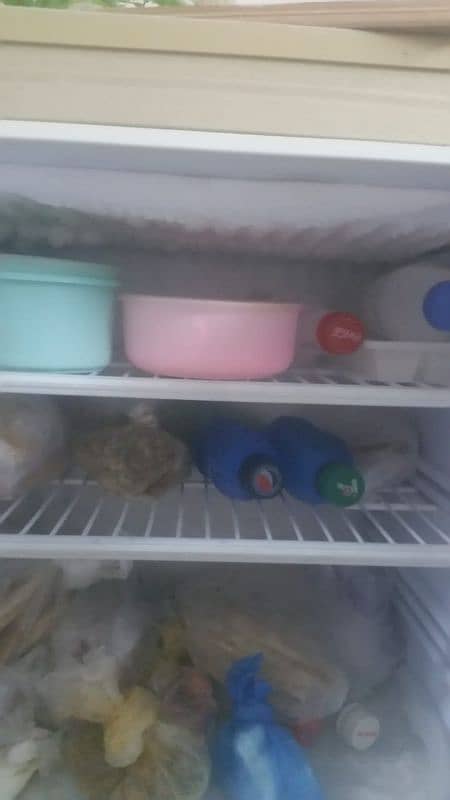 PEL REFRIGERATOR 7