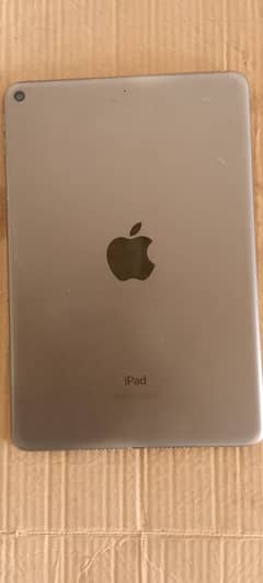 Ipad Mini 5 With Box and Charger Lush Condition