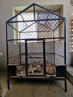 Birds cage