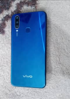 vivo