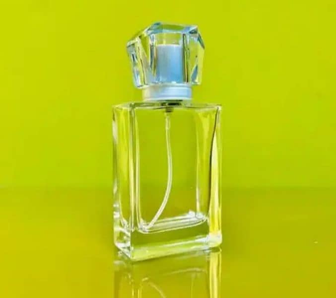 Spray Bottles / Empty Perfume Bottle / Fragrance 10