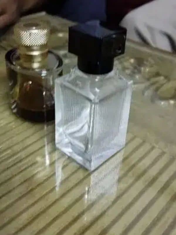 Spray Bottles / Empty Perfume Bottle / Fragrance 11