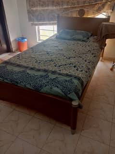 Solid wood Single bed