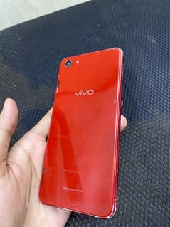 VIVO