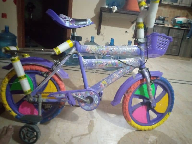 Bicycle for Girl 1