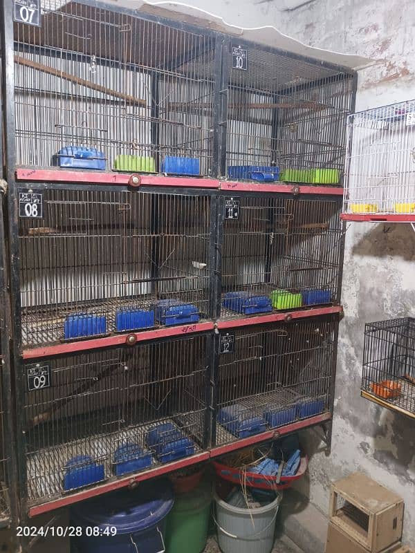 6 portions cage for sale 0