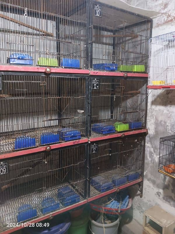 6 portions cage for sale 1