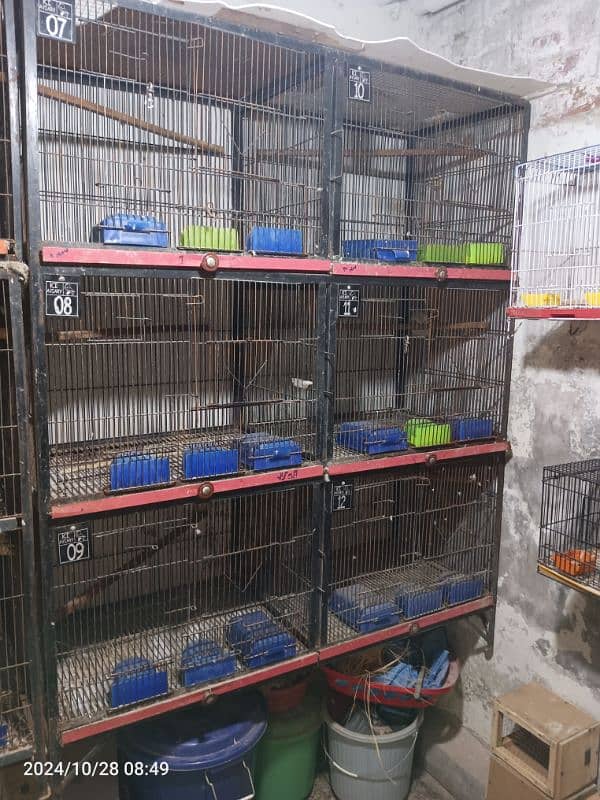 6 portions cage for sale 2