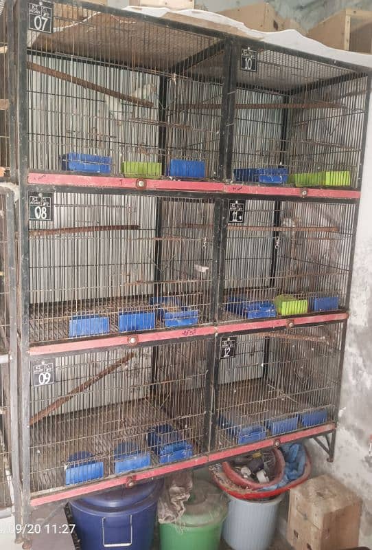 6 portions cage for sale 3