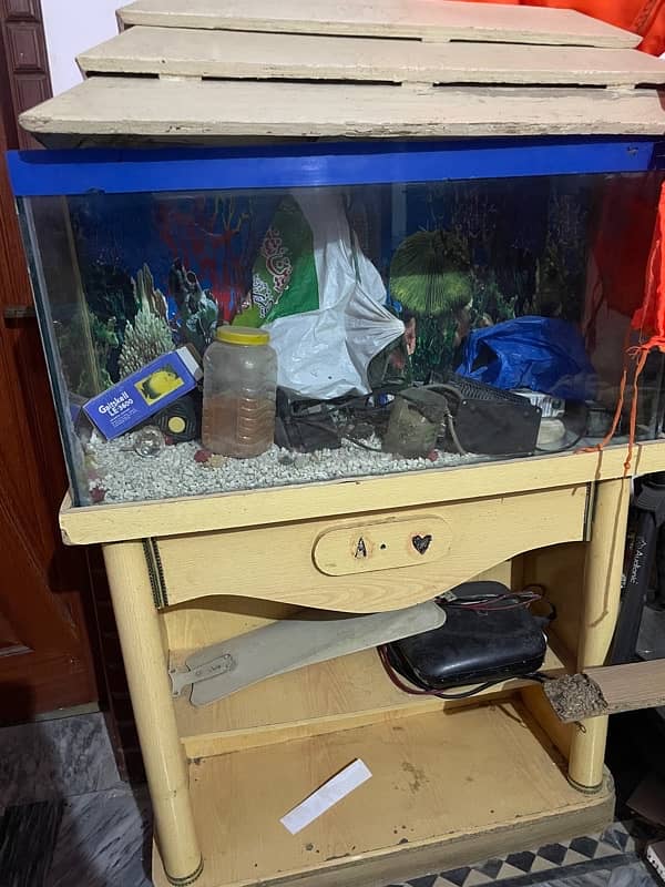 [NOT INCLUDING FISH] Only Aquarium for sale with accessories 1