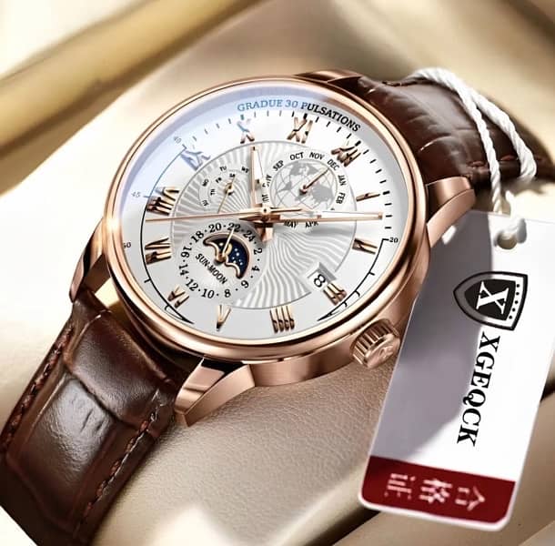 Men’s watch Brown Colour 2