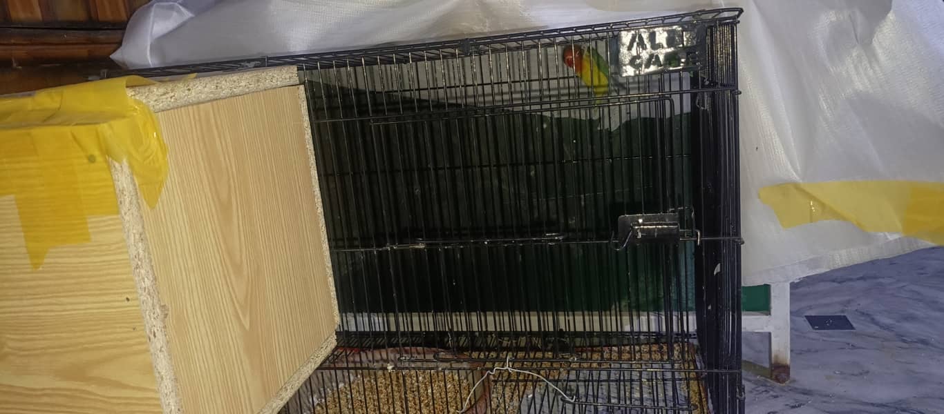 love bird fore sale or ali cage new cage ha 2 din use howa 2