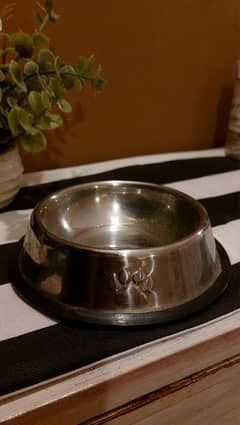 Cat bowl stainless steel