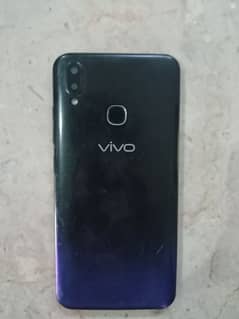 VIVO