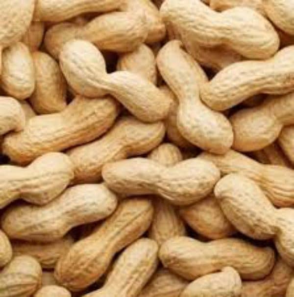 monghphali (peanut) 0