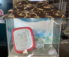 AQUARIUM FOR SALE