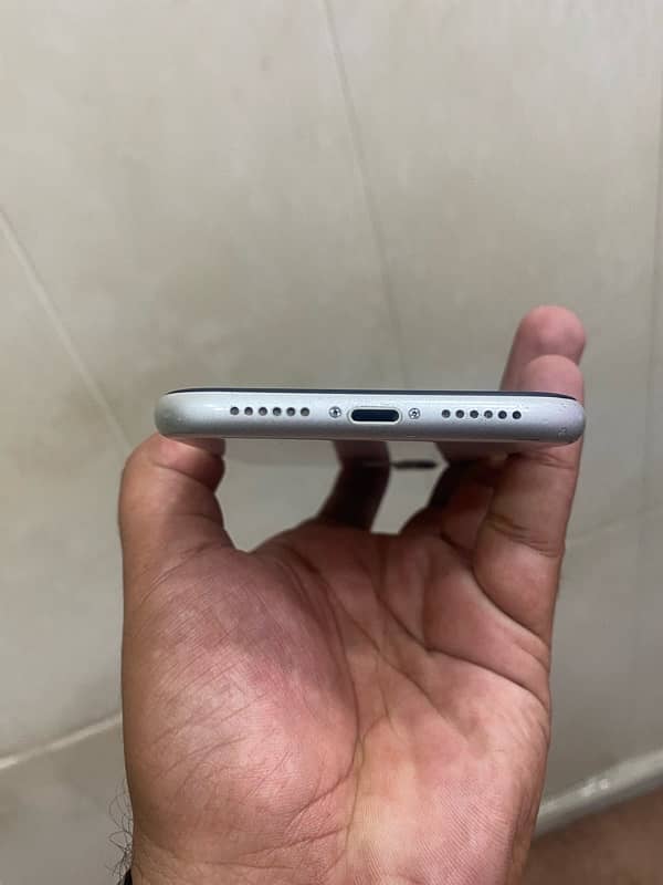 iphone 11 pta aprove 4