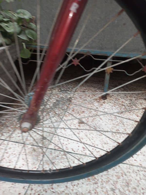 bicycle in used 10/9 condition 6