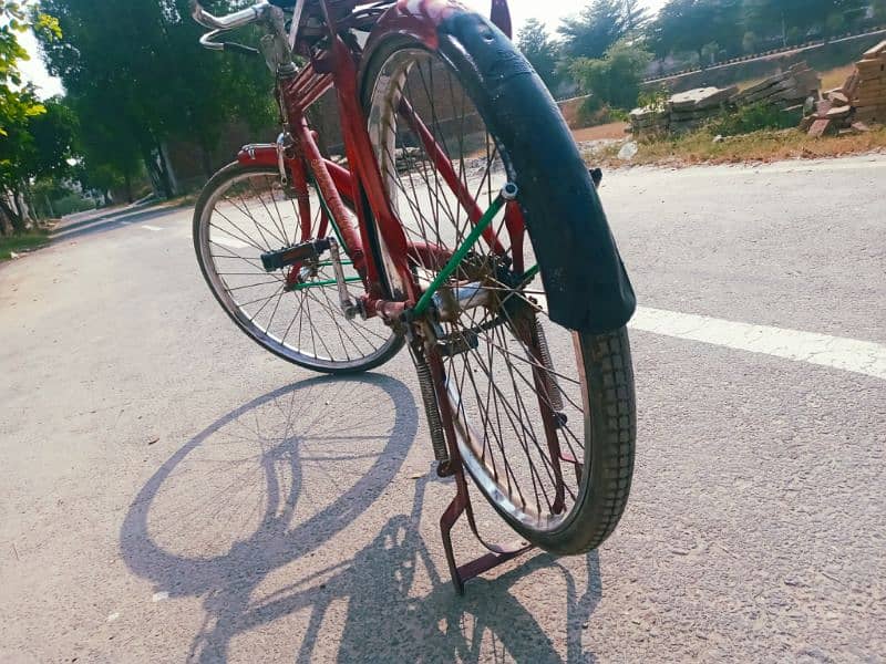 sohrab cycle in sahiwal 2